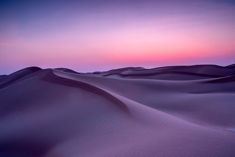 The Dune