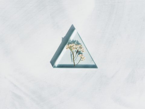 pexels-evie-shaffer-4270462